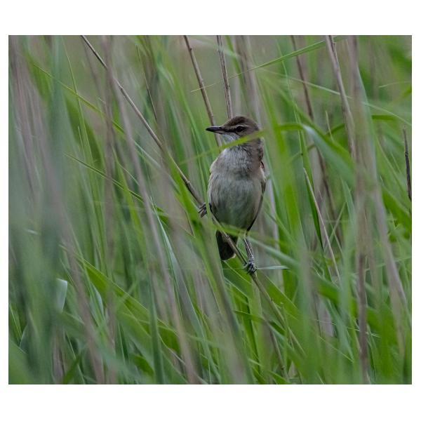 PHOTO84, CLUB, 84 , LUBERON